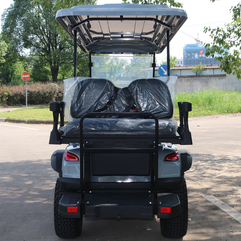 2025 Model Golf Cart w/Quick-Charge Battery & 3-Year Warranty