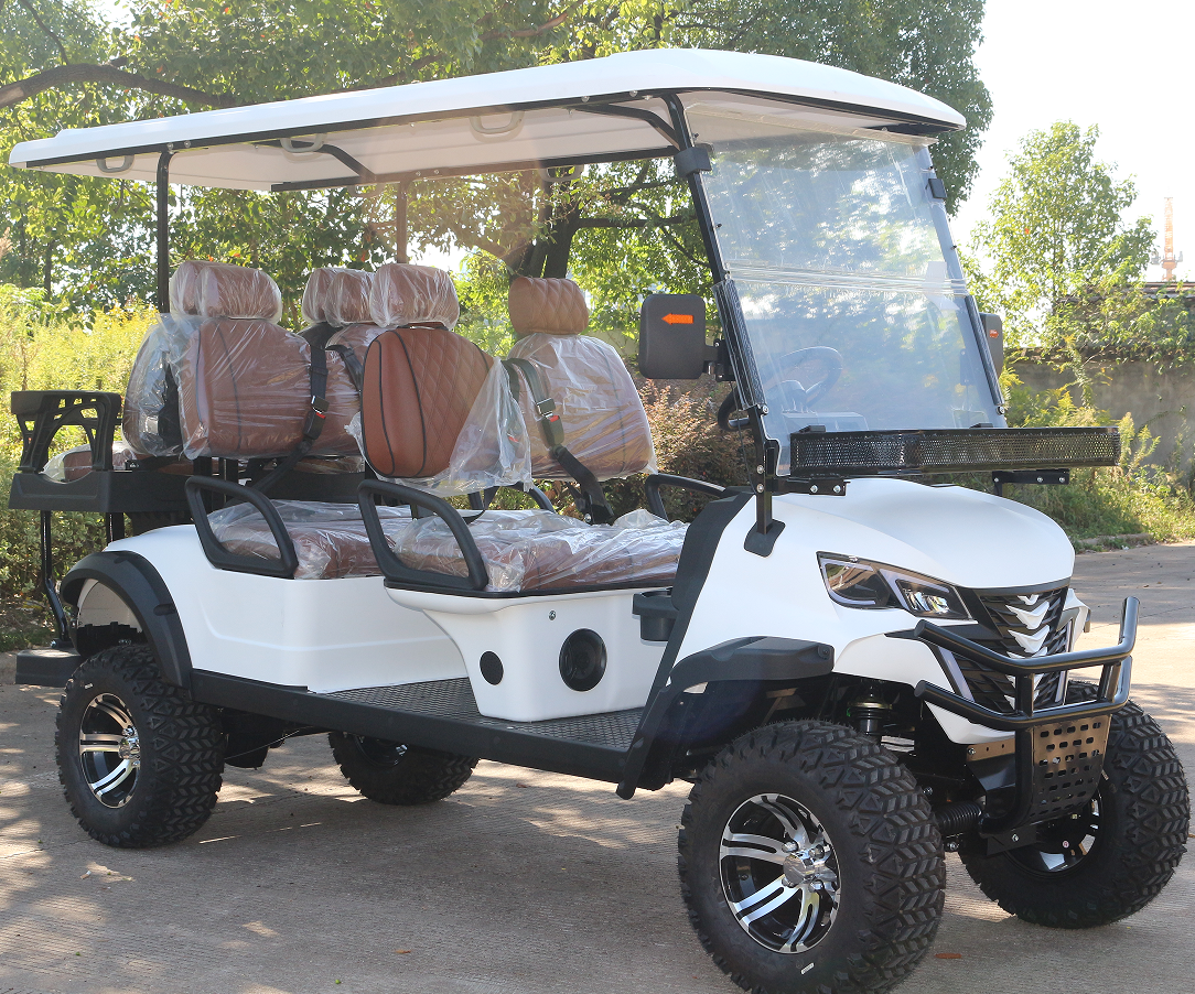 All-Electric Golf Buggy with Regenerative Braking System