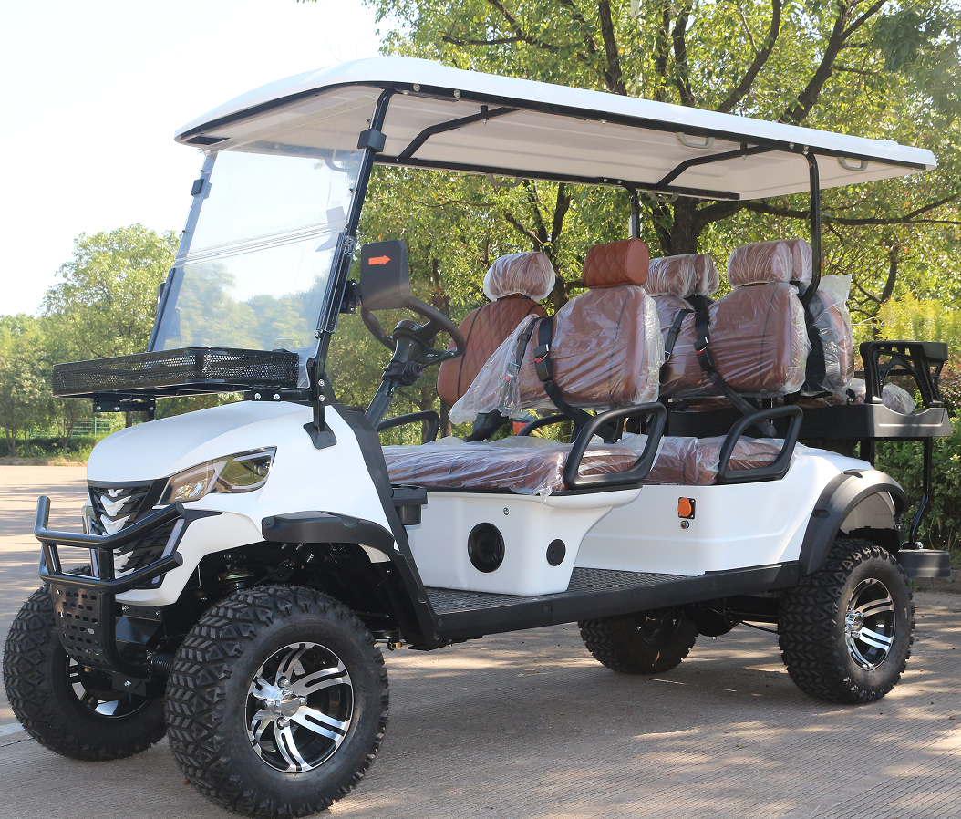 All-Electric Golf Buggy with Regenerative Braking System