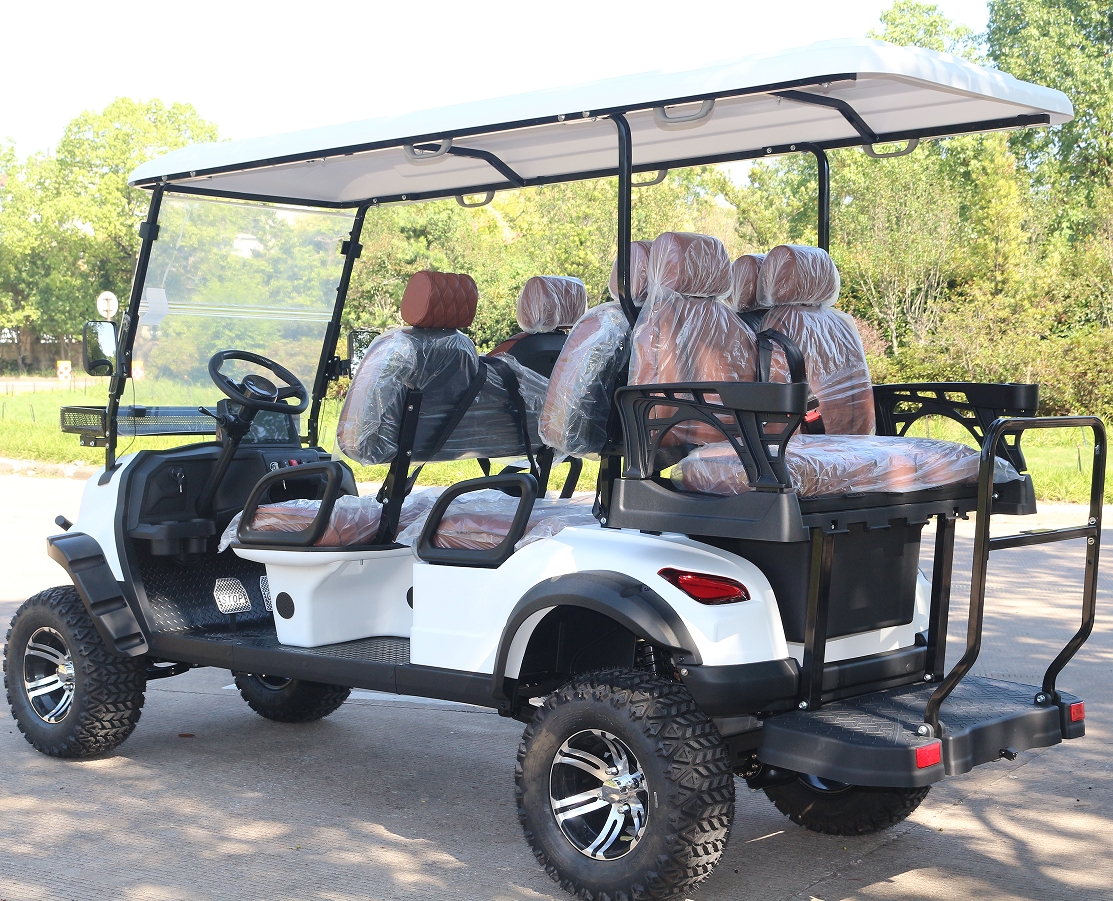 All-Electric Golf Buggy with Regenerative Braking System