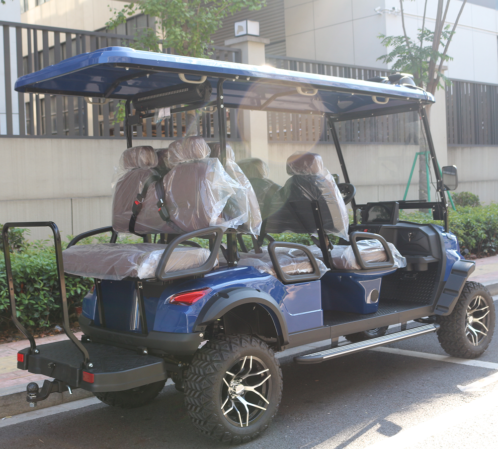 LVZO Brand Supplies Golf Cart /Buggy with CE Certificate