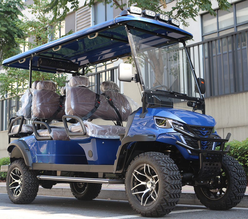 Wonderful Golf Cart with LED Turn Singal Light