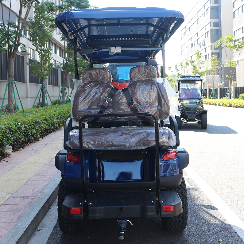 Wonderful Golf Cart with LED Turn Singal Light