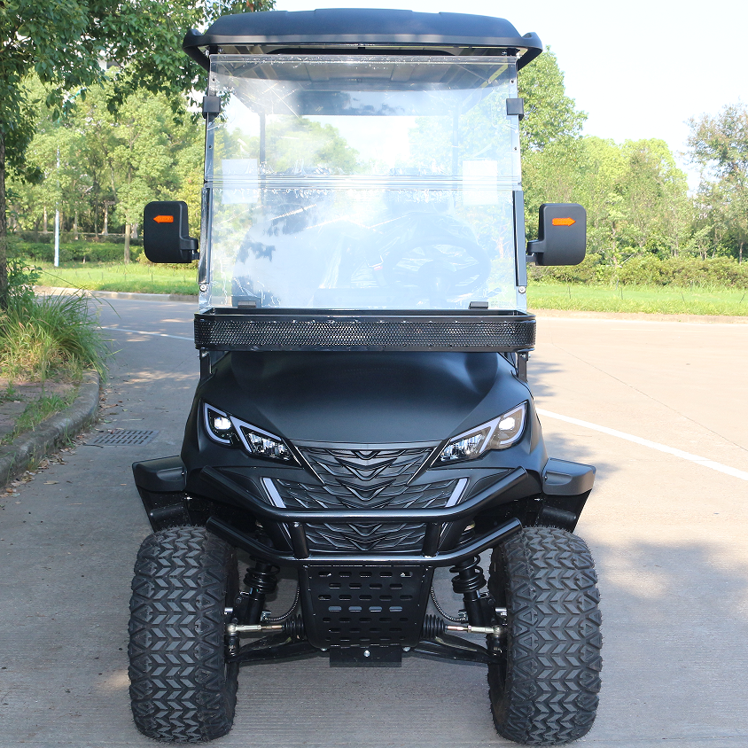 Matte Black Golf Cart with China Factory Made