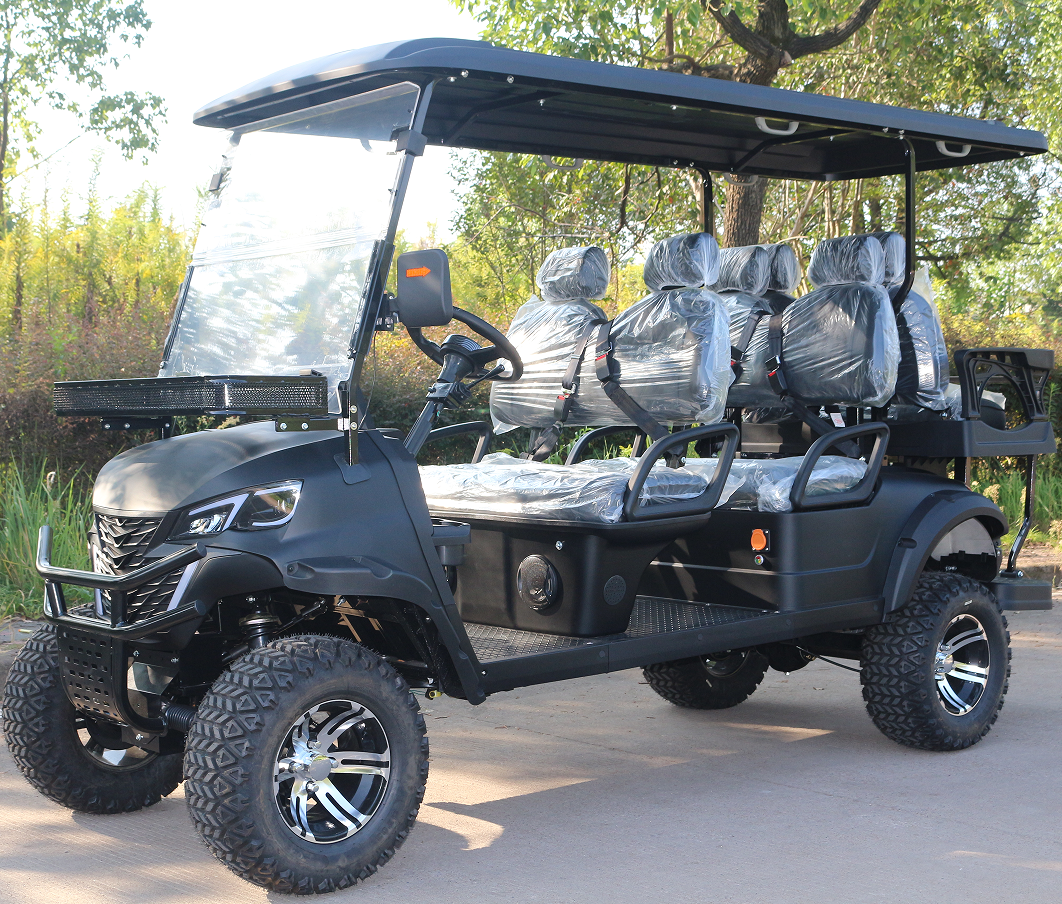 Portable Electric Golf Cart for Daytime Running/ Events