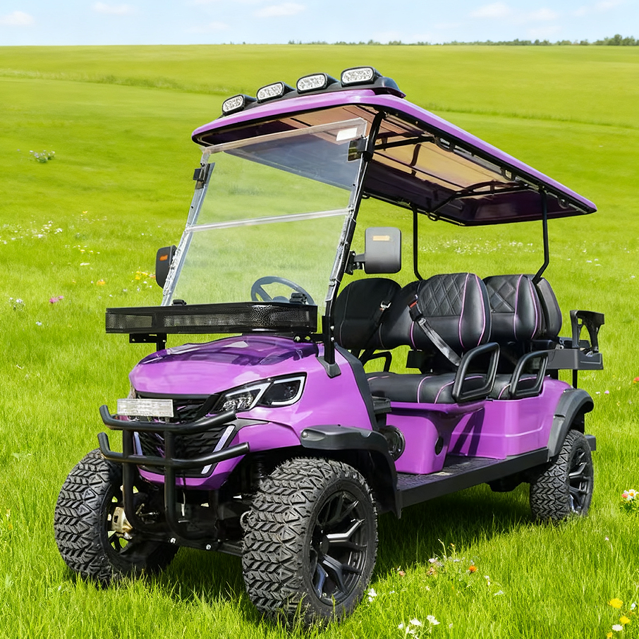 LVZO Black Electric Golf Cart - Heavy-Duty Build for Golf Course Operations & Group Rides