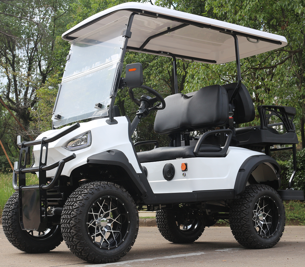 Customizable Electric Golf Cart with Rear Storage, Perfect for Golfers & Resort Guests