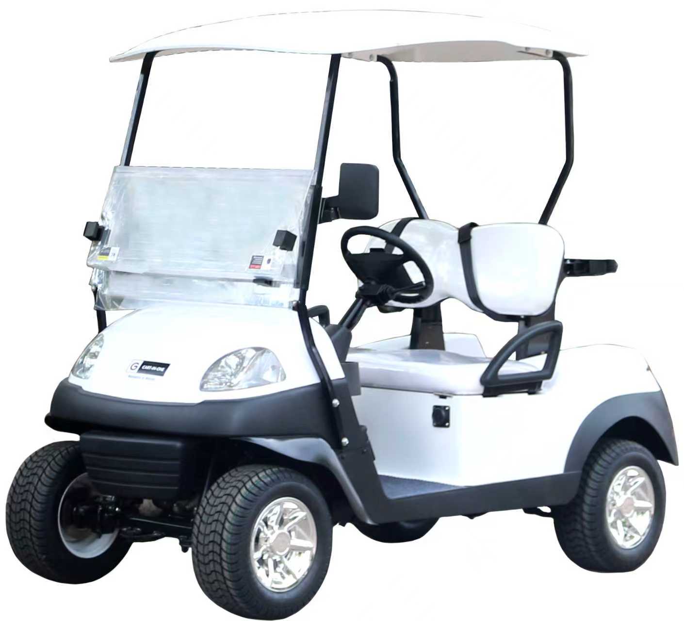 All-Terrain Enclosed Golf Cart with Mesh Design, Suitable for Coastal & Off-Road Operations