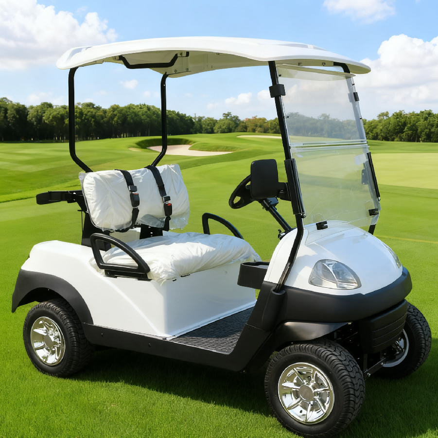 Eco-Friendly White 2-Seater Electric Golf Cart for Golf Course Use