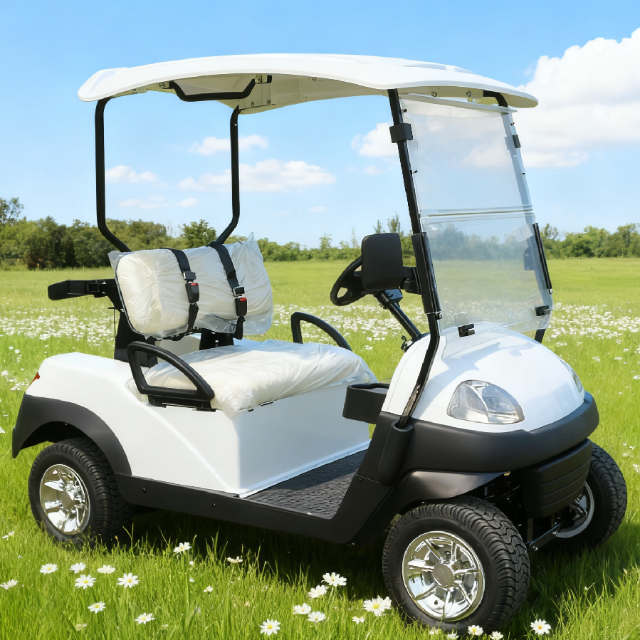 Comfortable 2-Seat White Golf Cart with Sturdy Tires for Golf Greens