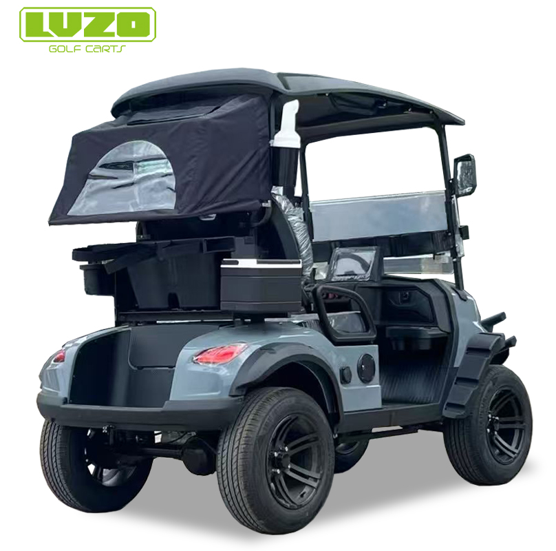 Stylish Gray LVZO Golf Cart with Bumper & Windshield for Golf Leisure