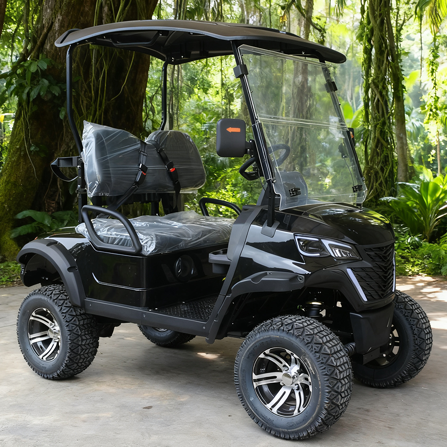 Black 2-Seater Golf Cart with Windshield for Off-Road & Golf Use