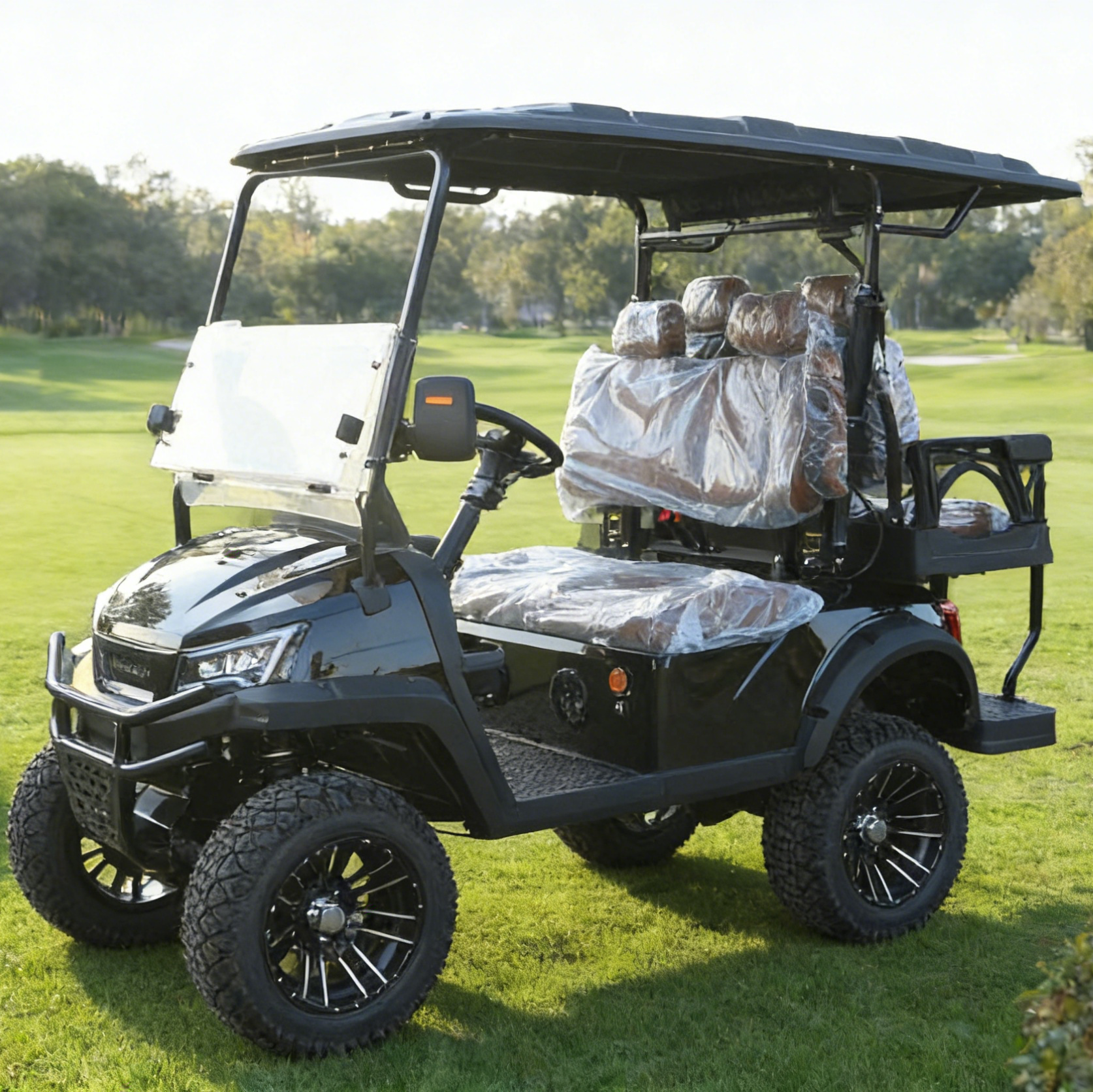 LVZO 4-Seat Black Golf Cart with Rear Rack for Golf Bags