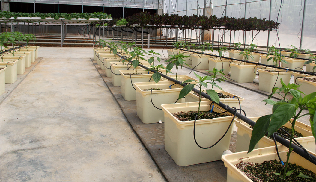 Supply plant pot trays