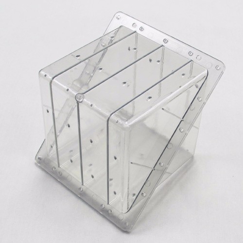 Square shape mould for watermelon growing