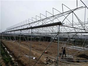 1000 Square Base Under Construction In Panyu