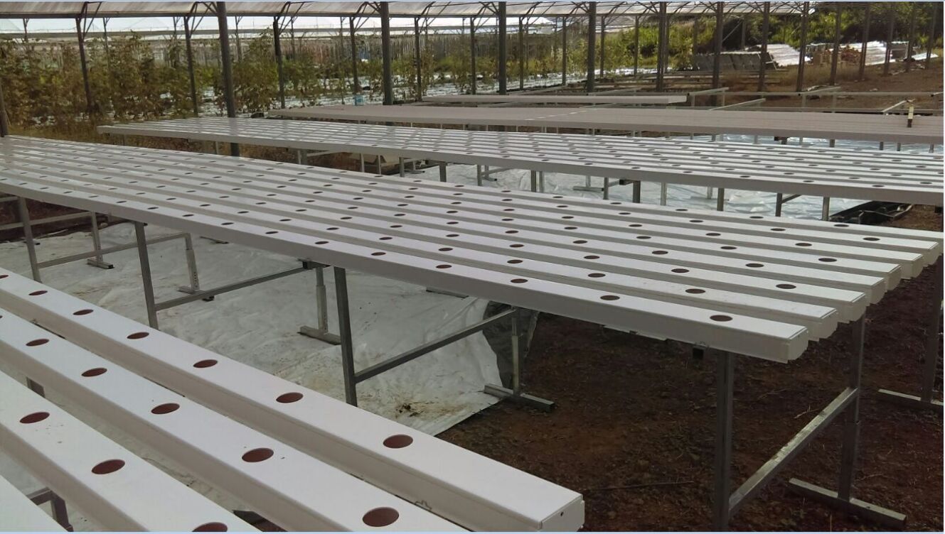 metal table in greenhouse.jpg