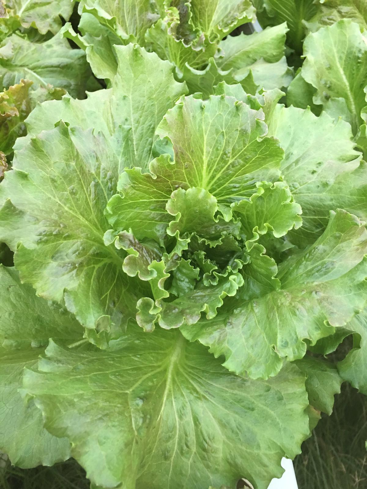 Good feedback from our client fromQatar