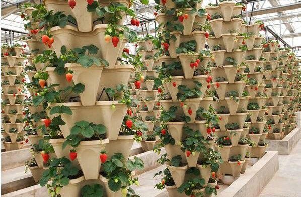 Gardening Plastic Tower pot