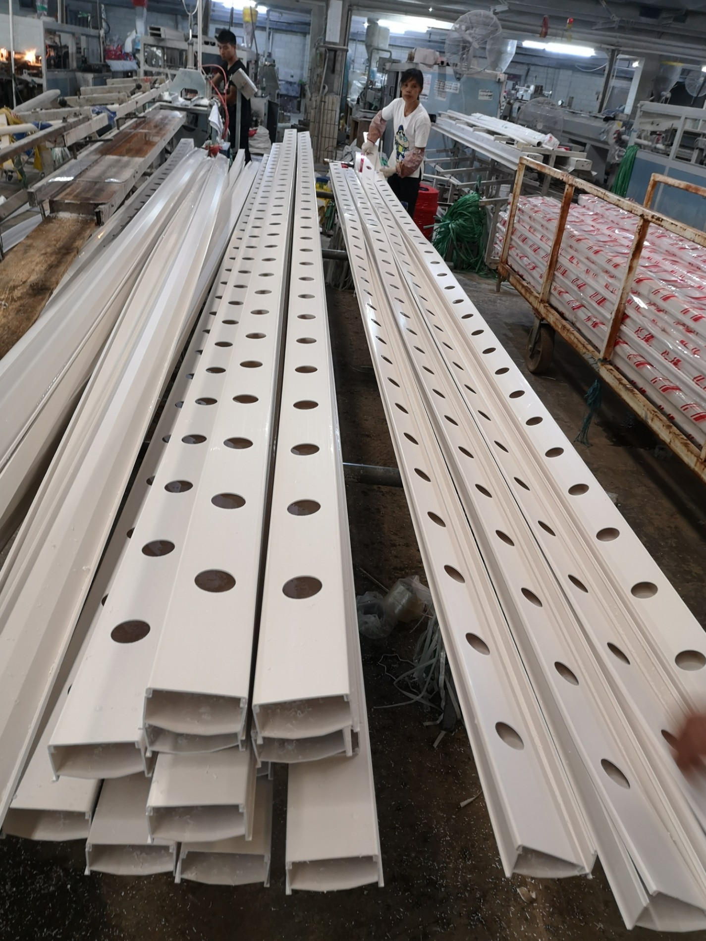 Hot producing Season for NFT hydroponic channel products