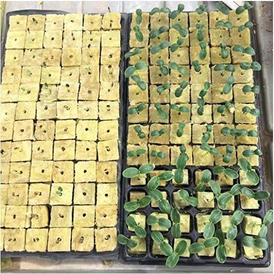 G&N Hydroponic Rockwool 40HQ to Middel East