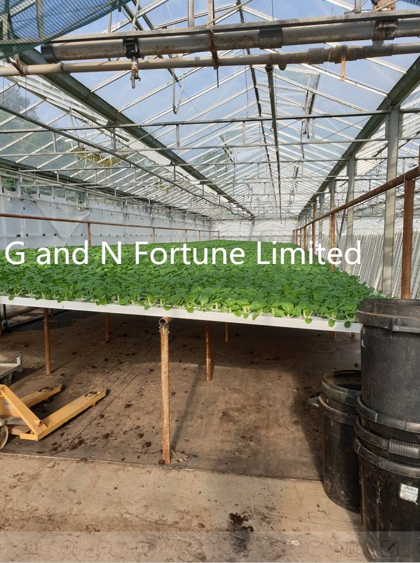 พีวีซีระบบช่อง NFT ปลูกพืชไร้ดิน