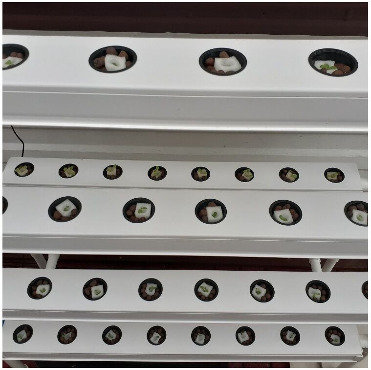 Home Garden Nft Small Hydroponic System with 64 Holes