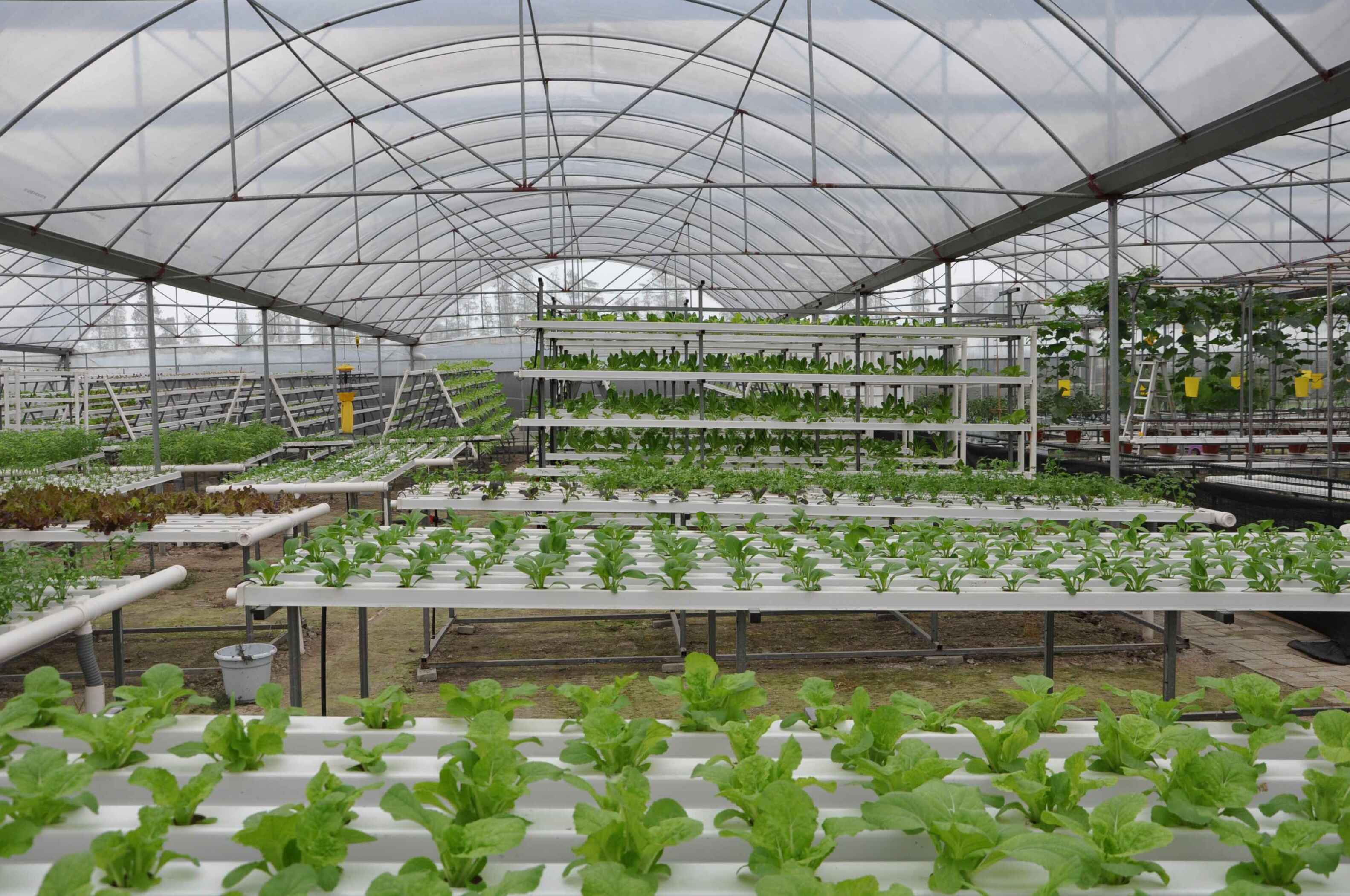 3000 Base Square ในตงกวน 3000 Base Square ในตงกวน