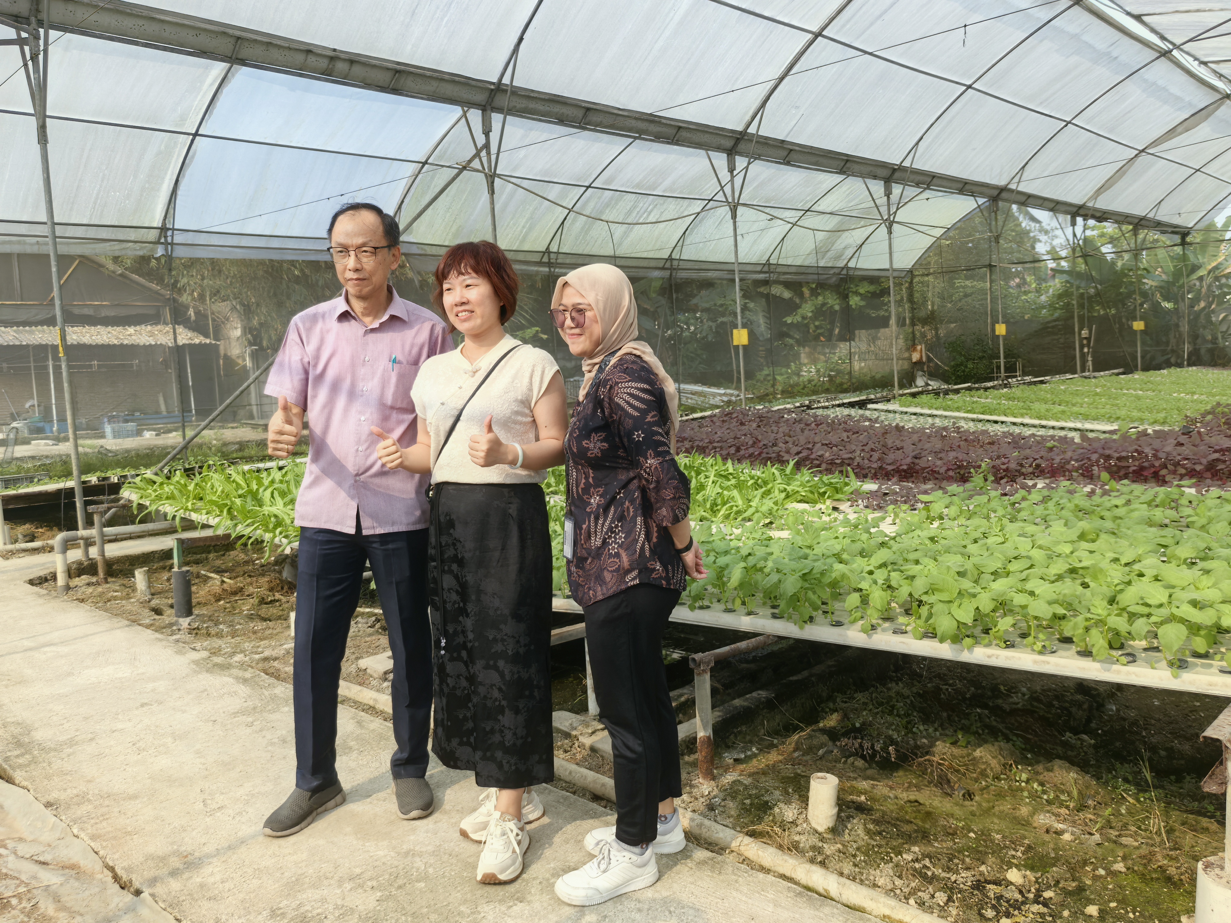 hydroponics system
