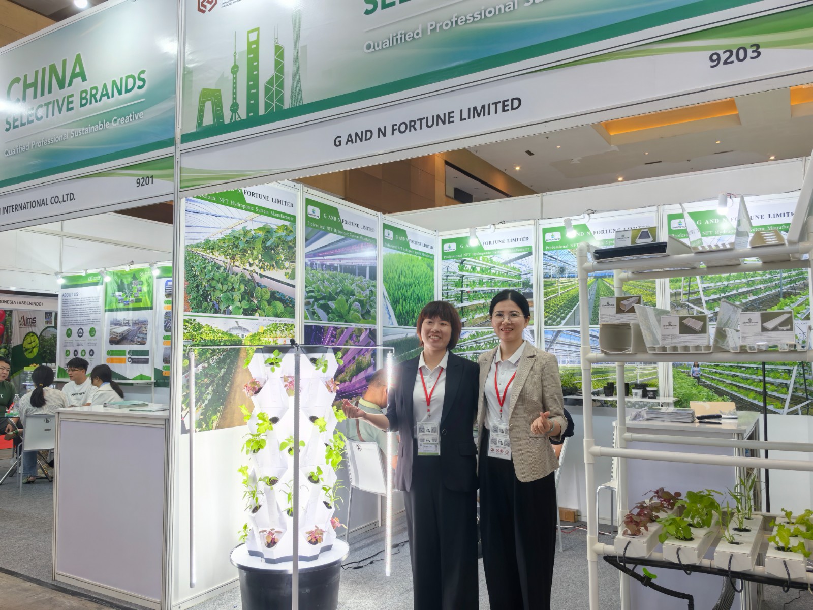 G AND N FORTUNE LIMITED