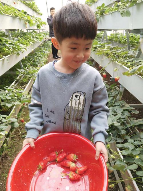 UPVC Plastic Gutter for Tomato Cucumber Strawberry Eggplant Herbs