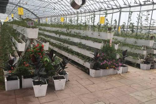UPVC Plastic Gutter for Tomato Cucumber Strawberry Eggplant Herbs