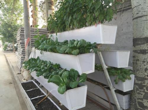 Essential Strawberry Growing Gutter Awesome Hydroponics Modern Farm Single Span Greenhouse
