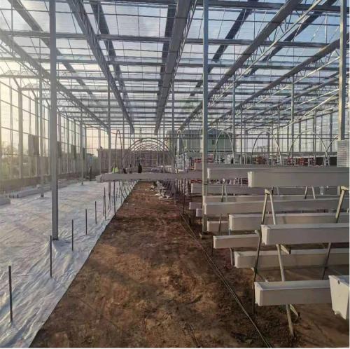 Essential Strawberry Growing Gutter Awesome Hydroponics Modern Farm Single Span Greenhouse