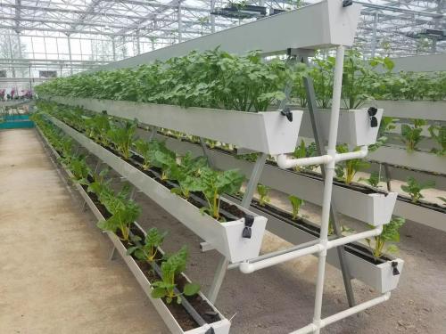 Essential Strawberry Growing Gutter Awesome Hydroponics Modern Farm Single Span Greenhouse