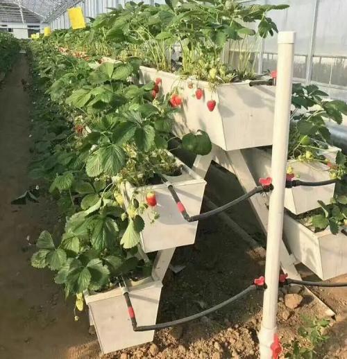 UPVC Plastic Gutter for Tomatoes Cucumber Strawberries Eggplant Herbs in Greenhouse