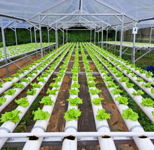 hydroponic system kit