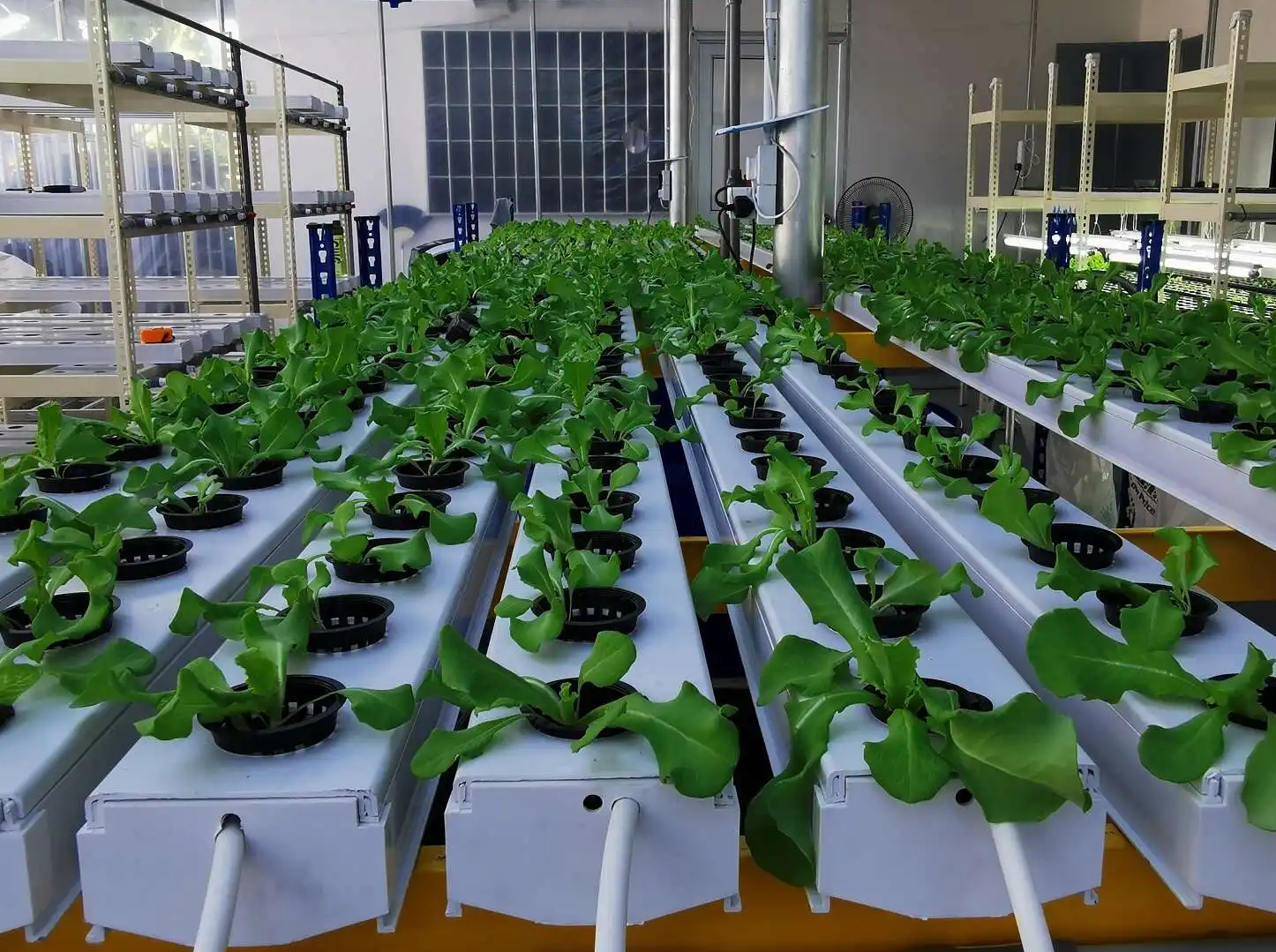 Wholesale hydroponic equipment PVC grow tube 10x5cm plastic pipe 4x2 inch PVC NFT channel for lettuce leafy vegetables