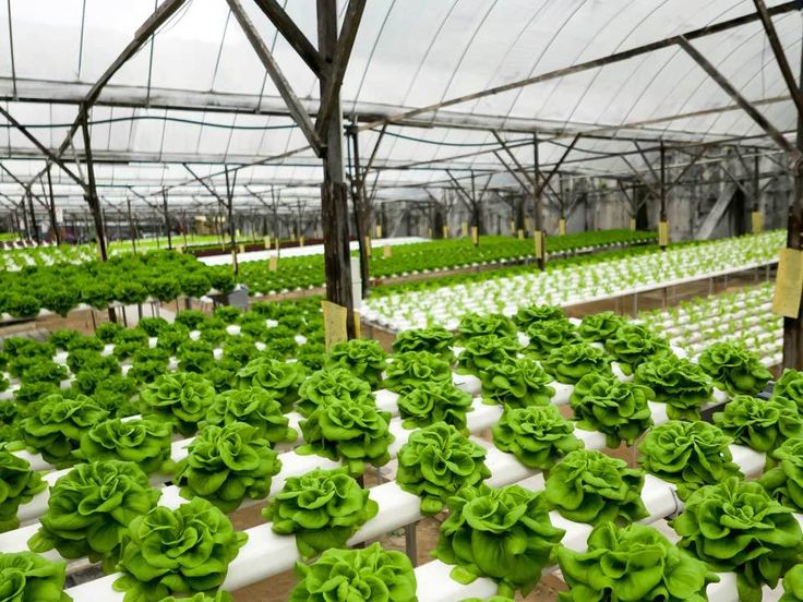 Wholesale hydroponic equipment PVC grow tube 10x5cm plastic pipe 4x2 inch PVC NFT channel for lettuce leafy vegetables