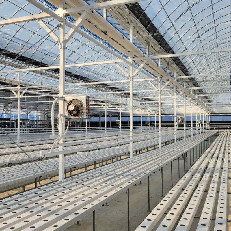 Multi-span Greenhouse Agricultural Plastic grow tube 10X5cm