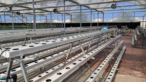 hydroponic system amazon