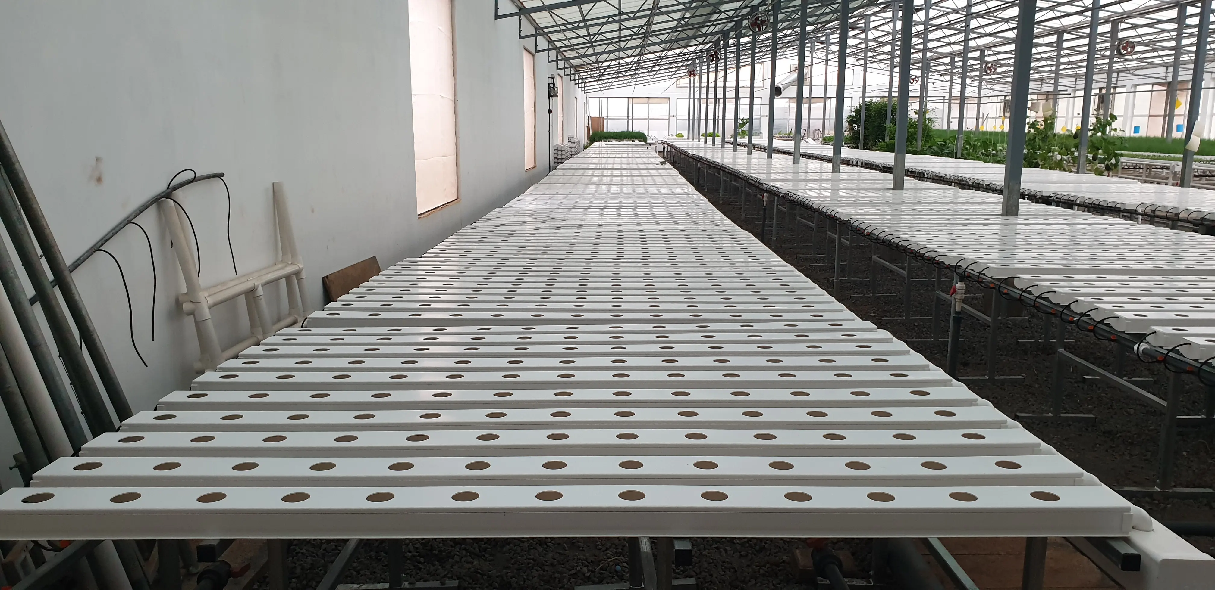 high quality hydroponic system for agriculture in multi-span glass greenhouse best quality factory price
