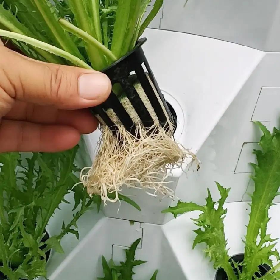 Vertical Hydroponic System Tower Indoor Hydroponics System Garden Lettuce Planting Kit