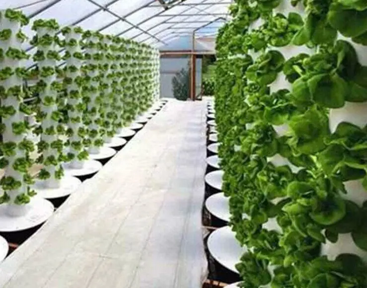 Vertical Hydroponic System Tower Indoor Hydroponics System Garden Lettuce Planting Kit