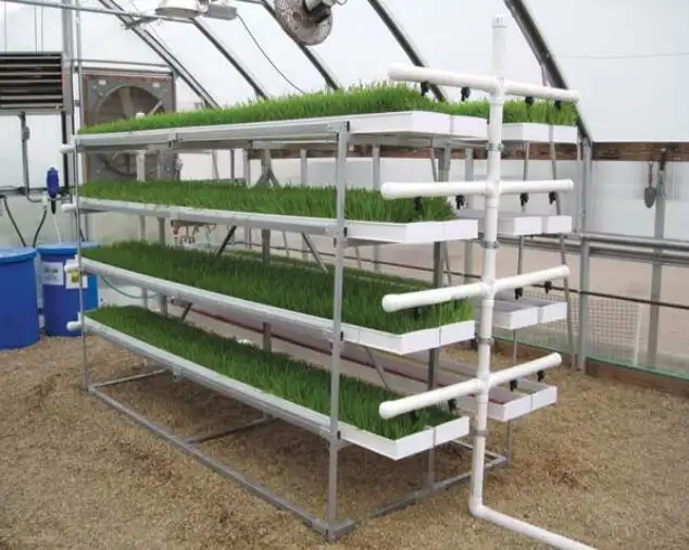 High Quality Hydroponic Fodder Tray System PVC Microgreen Growing System White Film Rohs More Than 10 Years Anti UV from CN;GUA