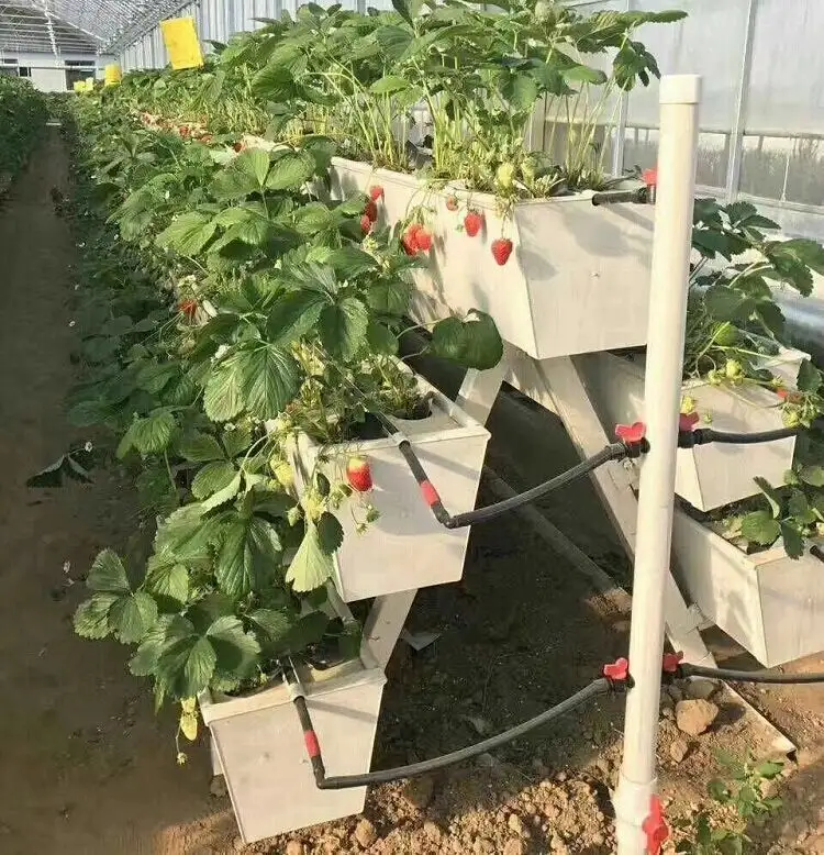 wholesale hydroponic agriculture grow equipment pvc strawberry gutter