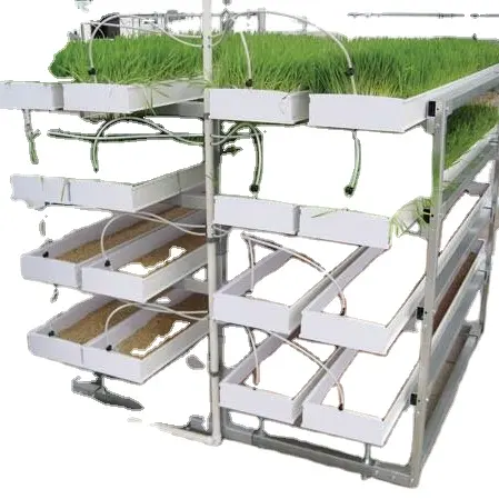 Indoor Hydrophonic Growing System Areoponics Microgreens Wheat Seed PVC Fodder System