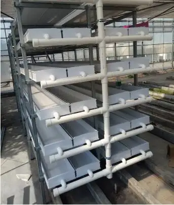 Indoor Hydrophonic Growing System Areoponics Microgreens Wheat Seed PVC Fodder System