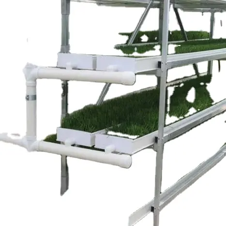 Indoor Hydrophonic Growing System Areoponics Microgreens Wheat Seed PVC Fodder System