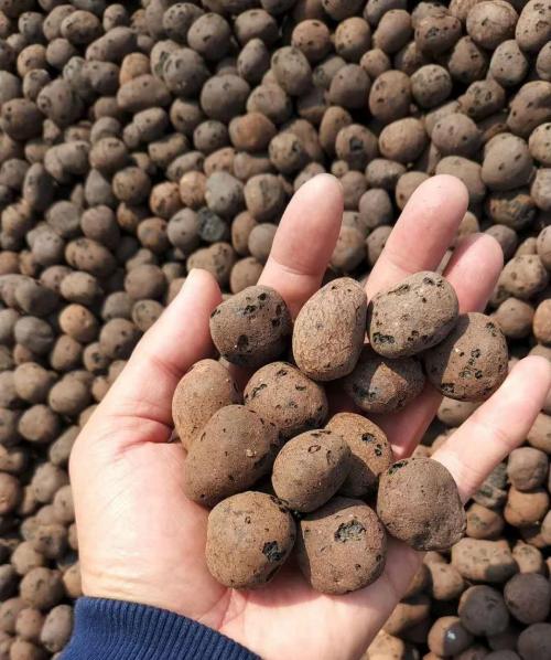 Clay Balls for Plant Pots: Factory - made, Top - notch Quality, Well - designed, Abundant Supply for Pots